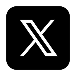 公式X