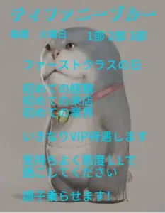 ティファニーブルー　ファーストクラスの日